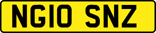 NG10SNZ