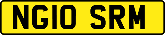 NG10SRM