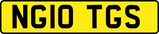 NG10TGS