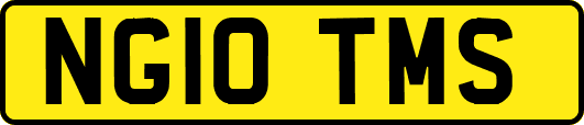 NG10TMS