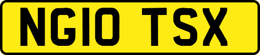 NG10TSX