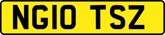 NG10TSZ