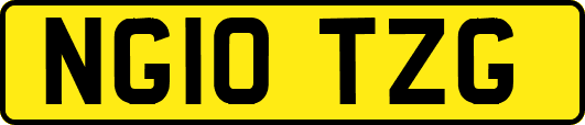 NG10TZG
