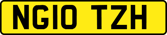 NG10TZH