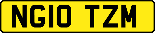 NG10TZM