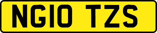 NG10TZS