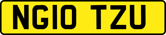 NG10TZU