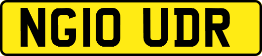 NG10UDR