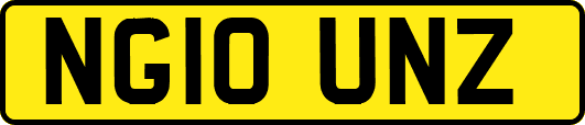 NG10UNZ