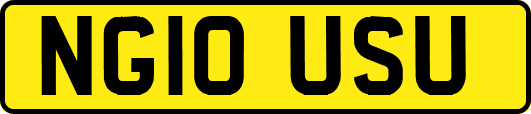 NG10USU