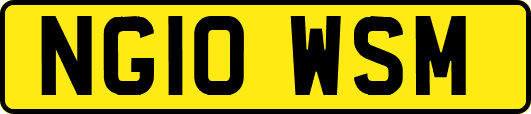 NG10WSM
