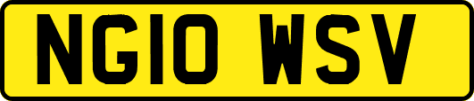 NG10WSV