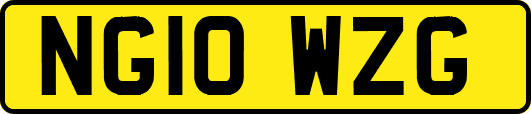 NG10WZG