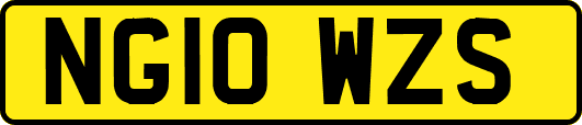 NG10WZS