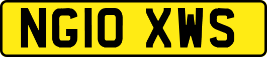 NG10XWS