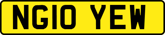 NG10YEW