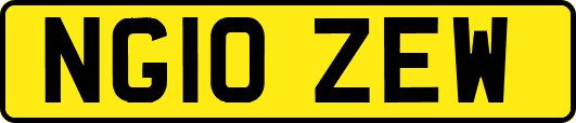 NG10ZEW