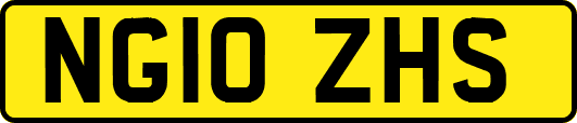 NG10ZHS