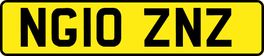 NG10ZNZ