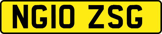 NG10ZSG