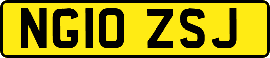 NG10ZSJ