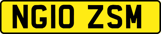 NG10ZSM