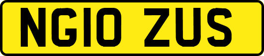 NG10ZUS