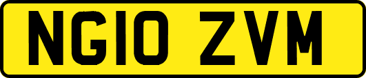 NG10ZVM