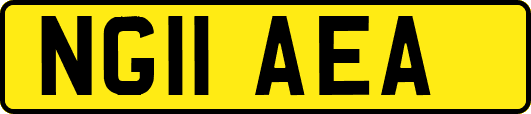 NG11AEA
