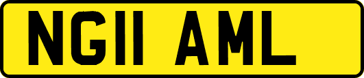 NG11AML