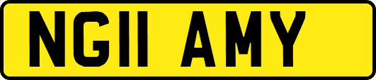 NG11AMY