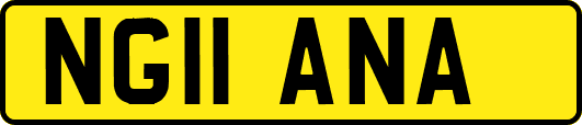 NG11ANA