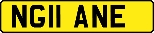 NG11ANE