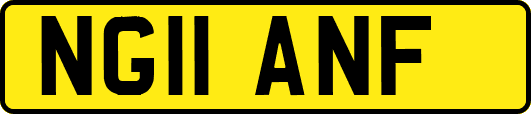 NG11ANF