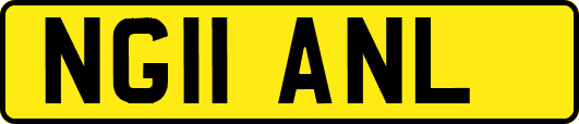 NG11ANL