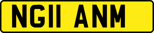 NG11ANM