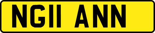 NG11ANN