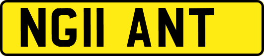 NG11ANT