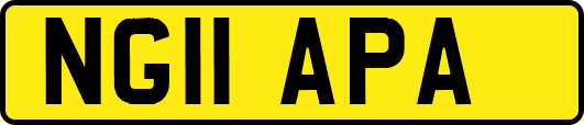 NG11APA
