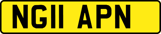 NG11APN