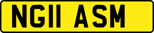 NG11ASM