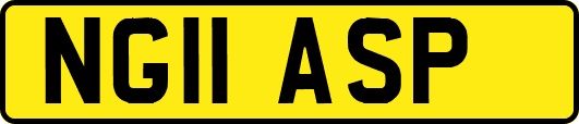 NG11ASP
