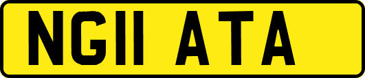 NG11ATA