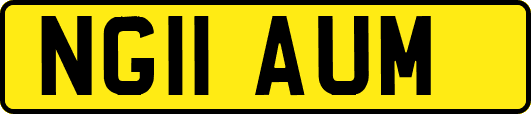 NG11AUM
