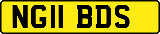NG11BDS