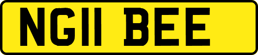 NG11BEE