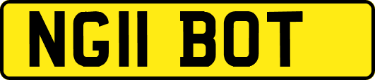 NG11BOT