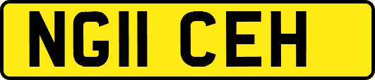 NG11CEH