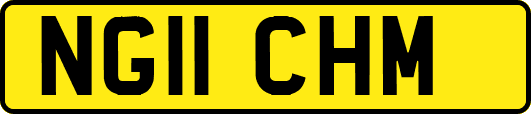 NG11CHM