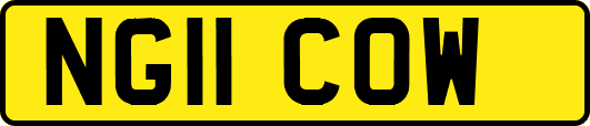 NG11COW